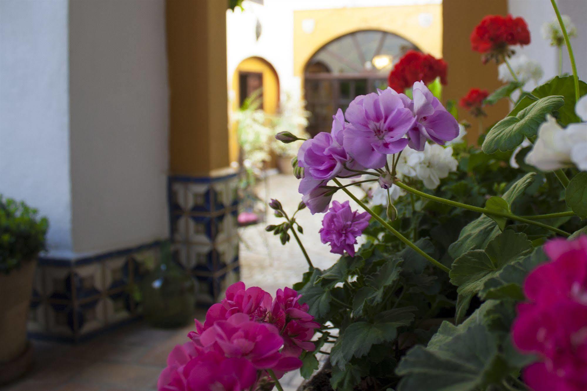 Casa Imperial 4* Séville